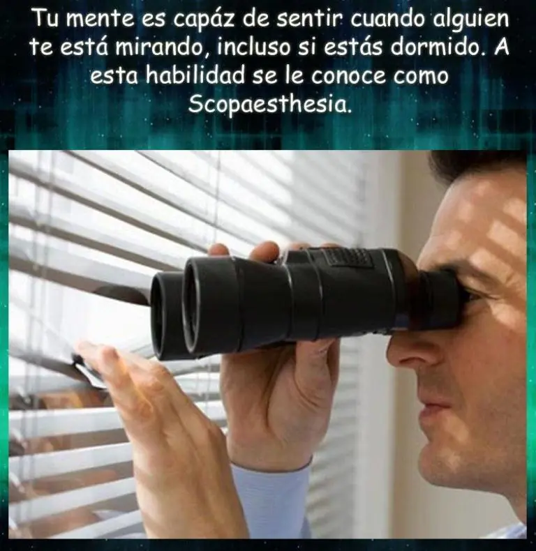 psicologia
