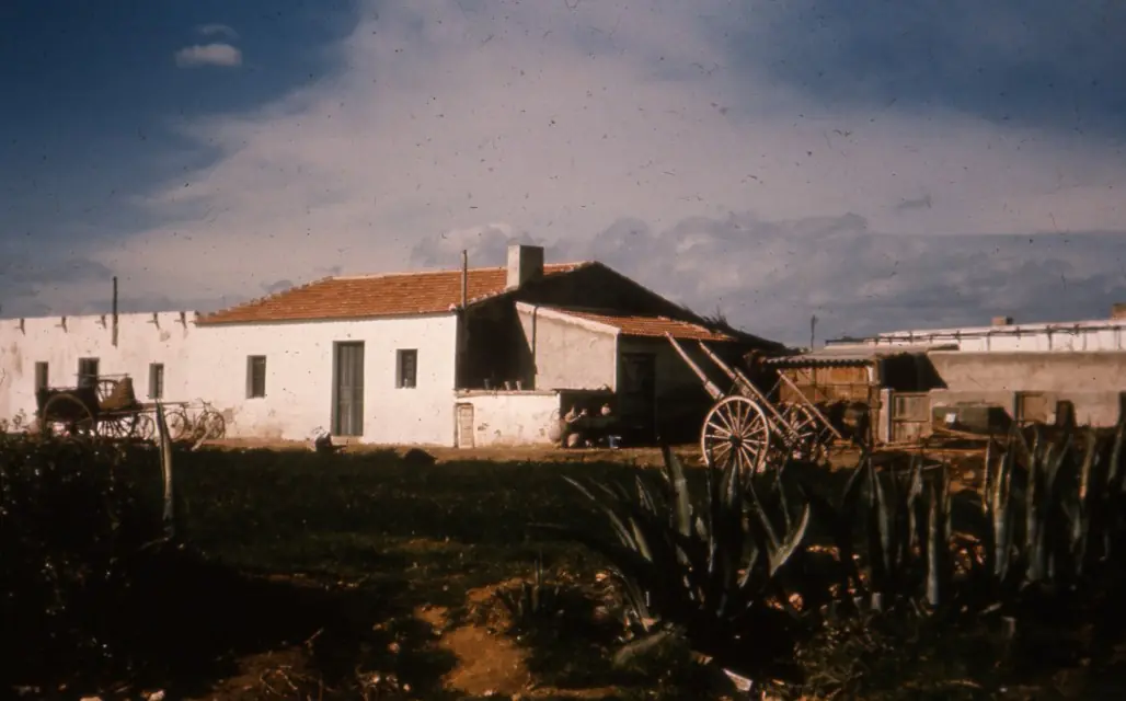 perdida