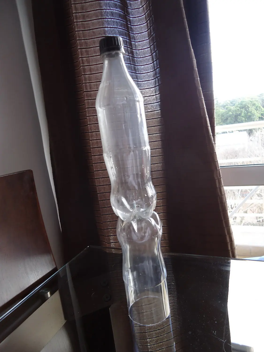 Cucha de perros con botellas de Coca