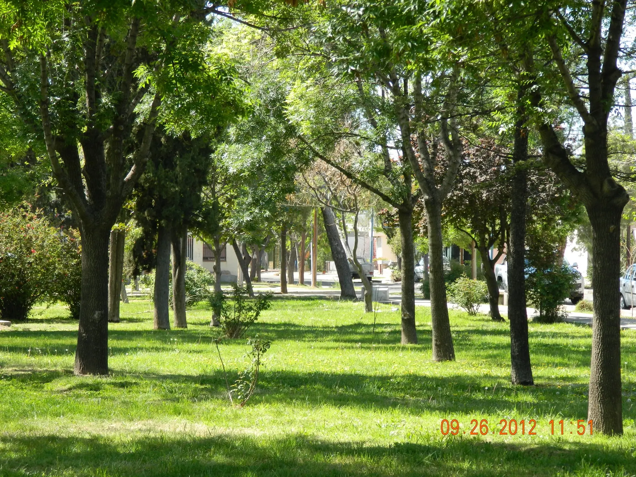 primavera