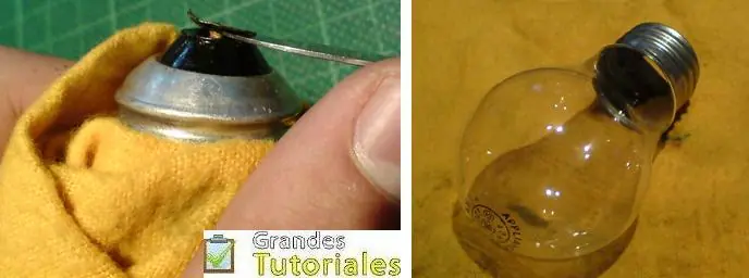 pornoplantas