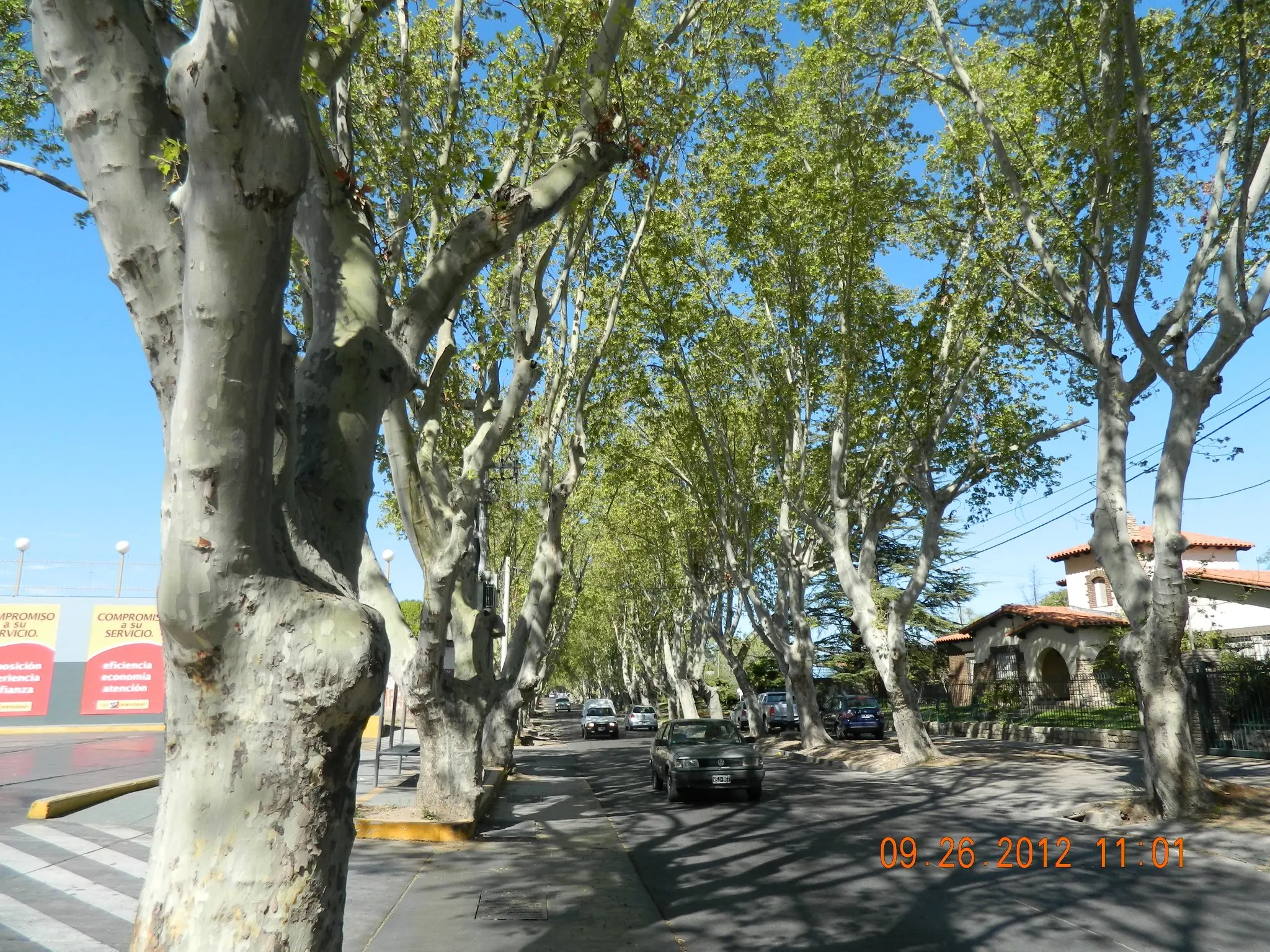 Paisaje