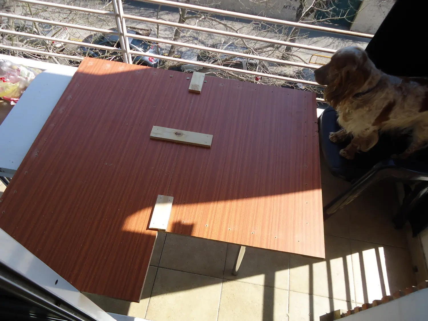cuchas de perros