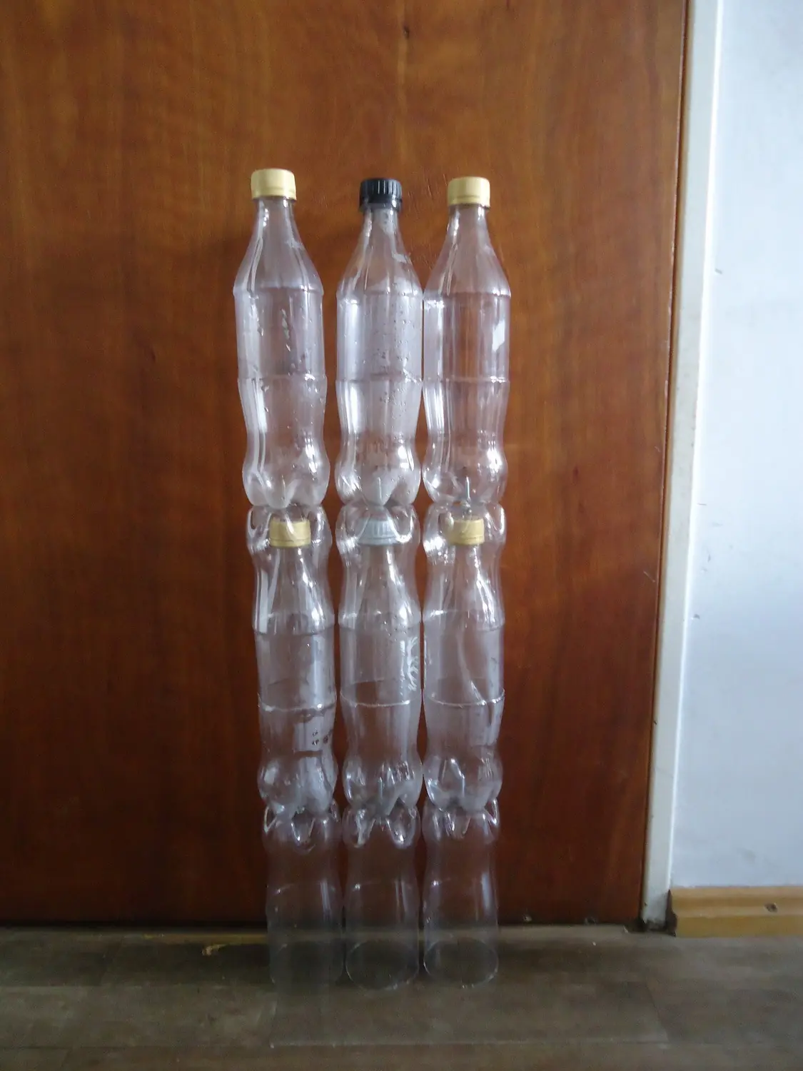 Cucha de perros con botellas de Coca