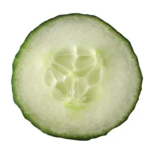 Ventajas