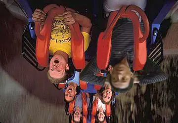 delfin todo hombre es un minero