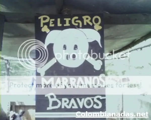 Imagenes Graciosas +60 Made In Colombia... Gozalas :) OK BN
