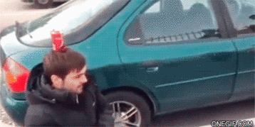 Gifs