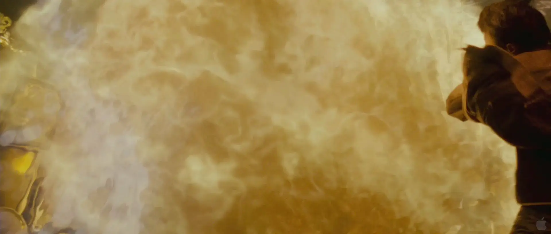 Analisis Escena por Escena del Trailer de Harry Potter 7 II