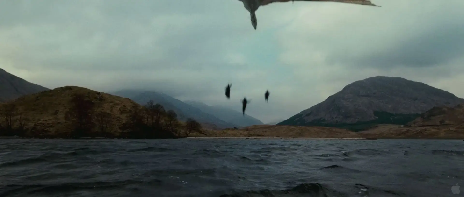 Analisis Escena por Escena del Trailer de Harry Potter 7 II
