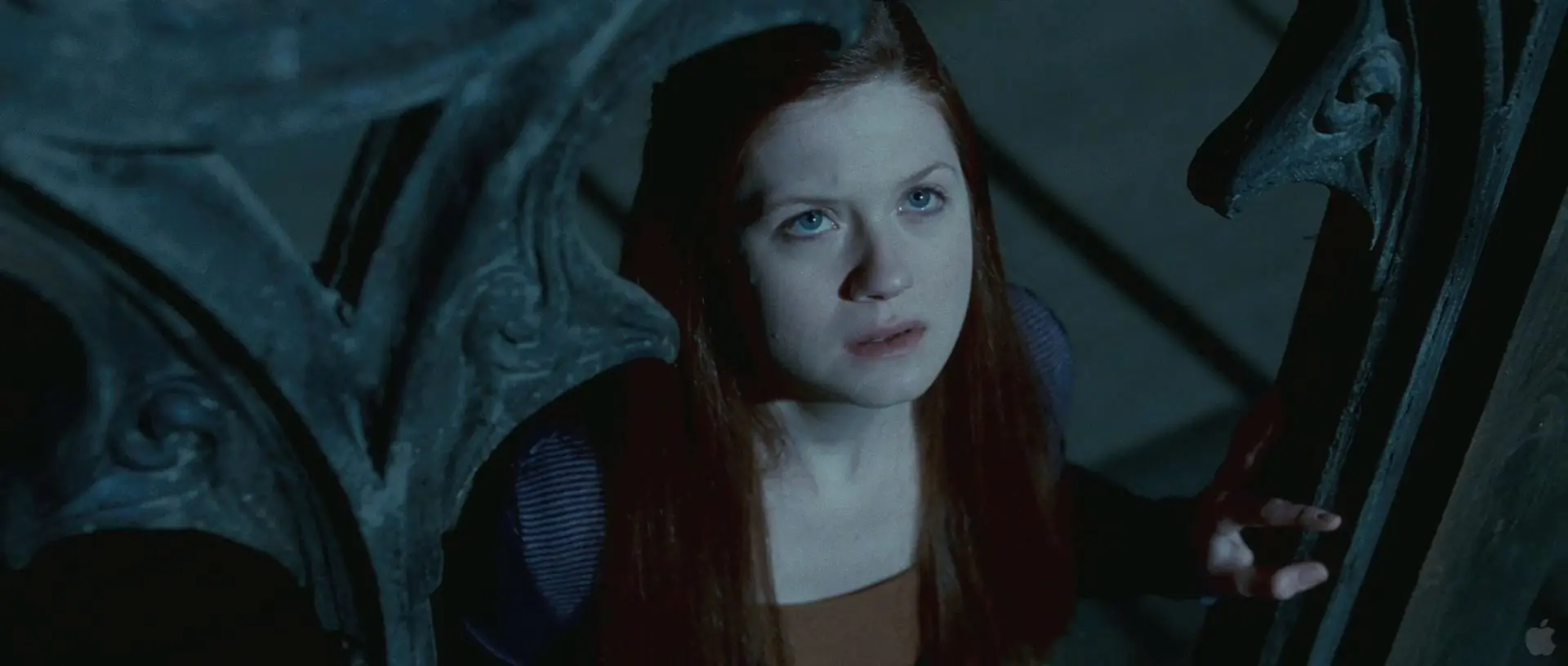 Analisis Escena por Escena del Trailer de Harry Potter 7 II