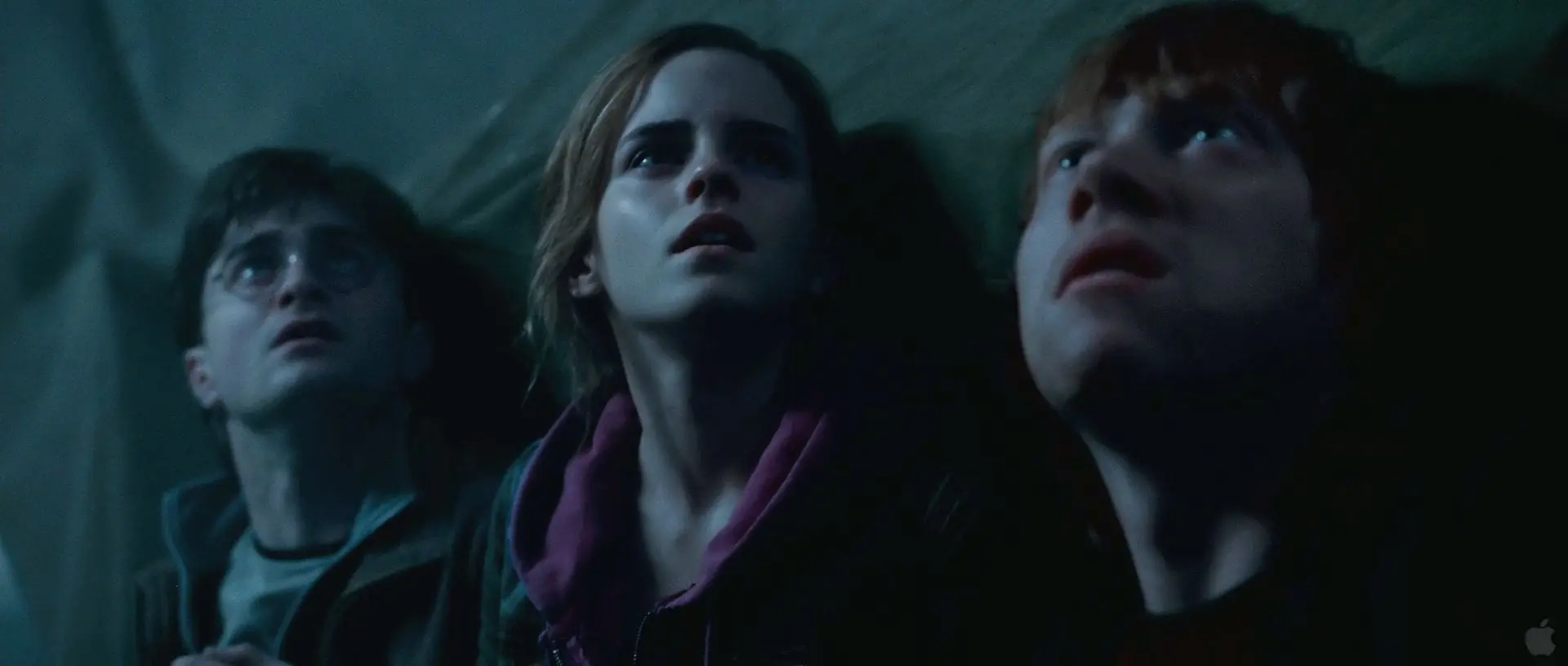 Analisis Escena por Escena del Trailer de Harry Potter 7 II
