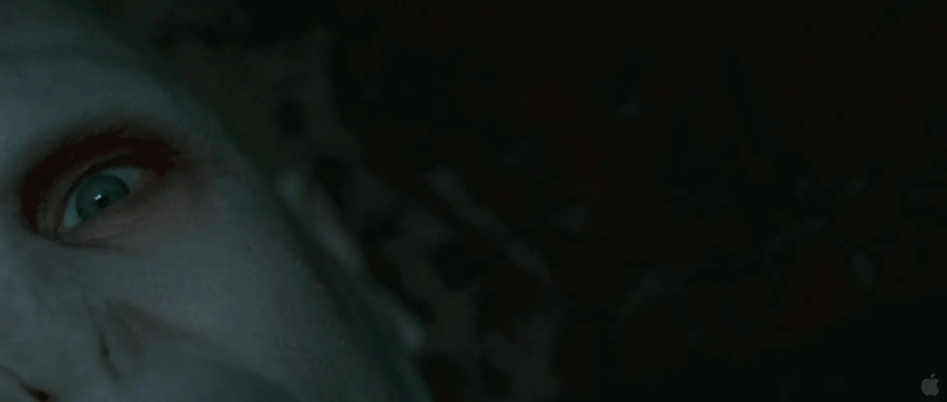 Analisis Escena por Escena del Trailer de Harry Potter 7 II