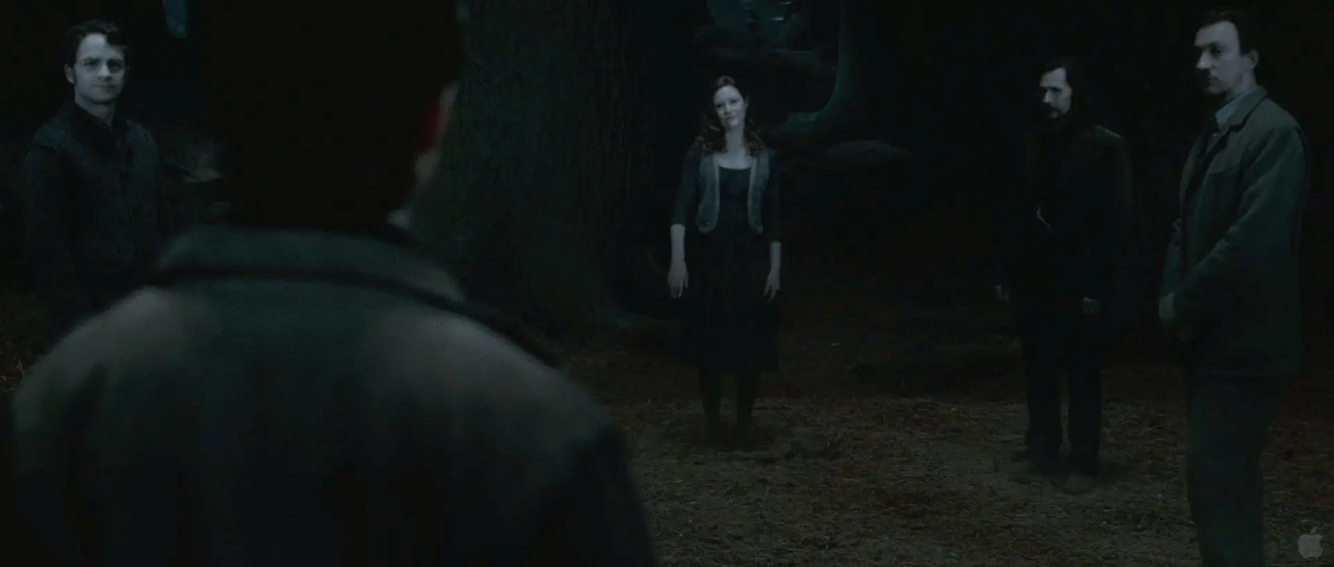 Analisis Escena por Escena del Trailer de Harry Potter 7 II