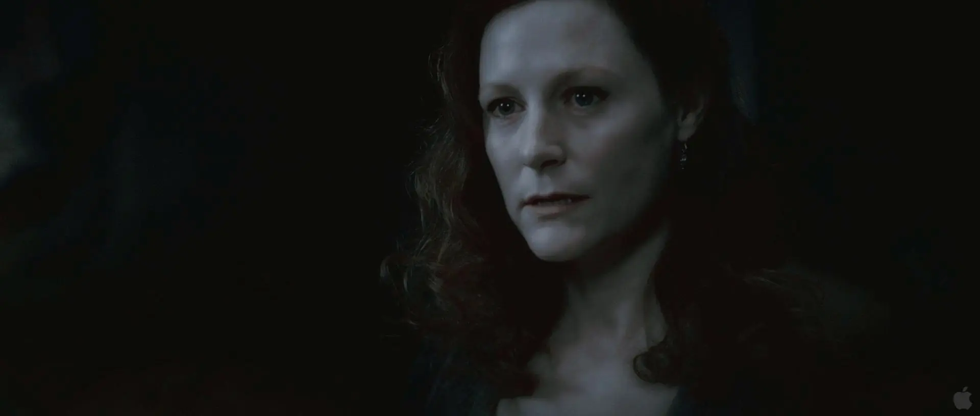 Analisis Escena por Escena del Trailer de Harry Potter 7 II