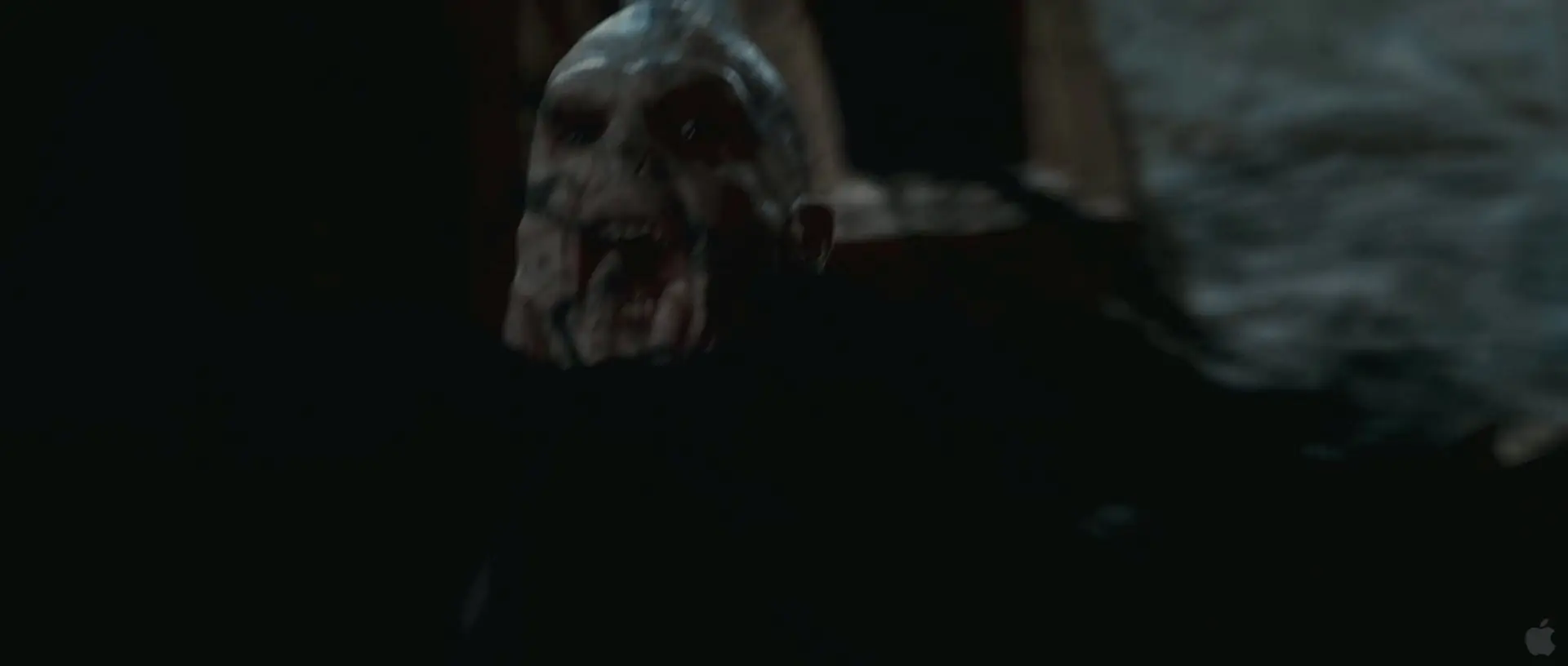 Analisis Escena por Escena del Trailer de Harry Potter 7 II