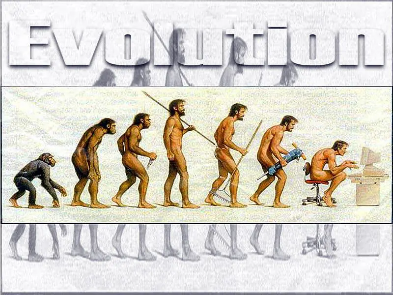 teoria de la evolucion o creacion