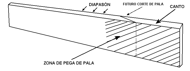taringa