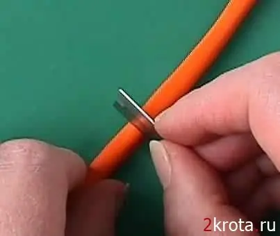 Crea mini naranjas en poco tiempo!
