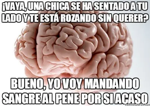 reir