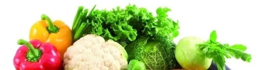 Buscador de recetas por ingredientes: Cocina sin salir de ca