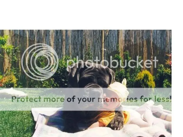 Como abrazar a un bebe