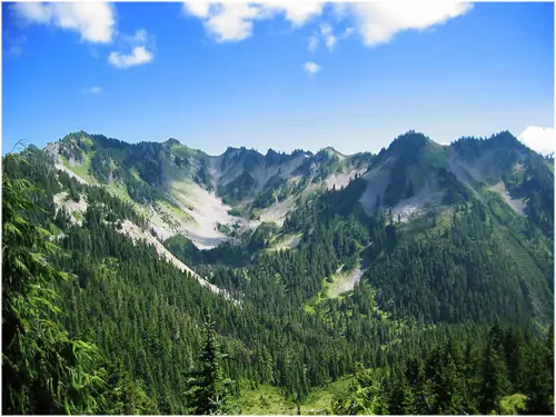 Fascinantes fotografías del Parque Nacional Olympic en Esta