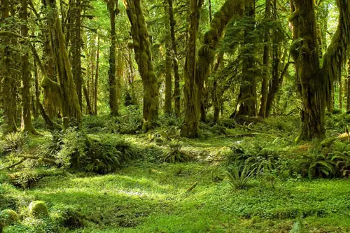 15 fascinantes imágenes