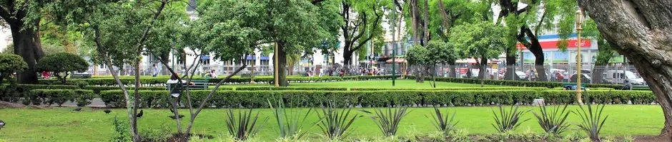 plaza flores