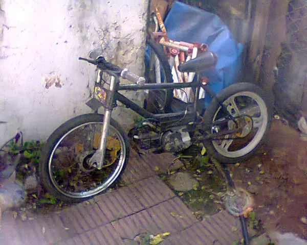 Mi humilde proyecto