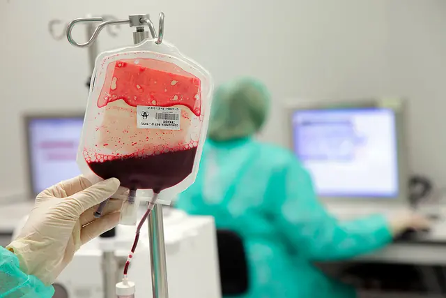 Gusanos marinos, ¿nuevos donadores de sangre para el hombre