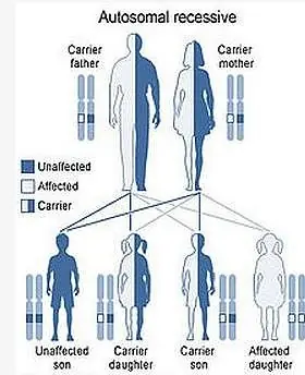 ¿Piensas que tu vida es un desastre? Conocé a Chistian Arn
