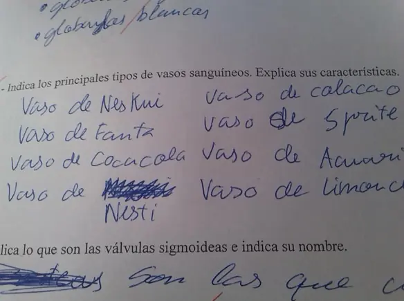 ¿Cuales son los principales vasos del cuerpo?