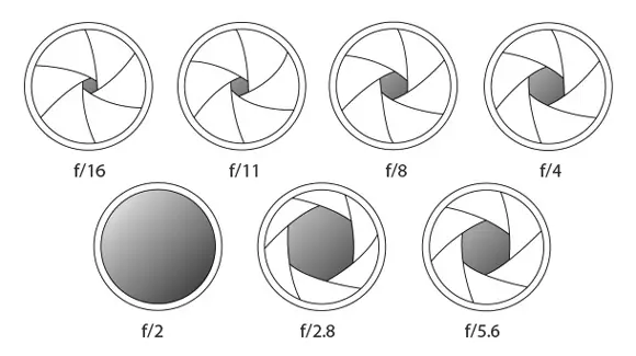 tutorial