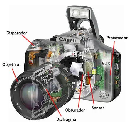 Aprende fotografía básica paso a paso