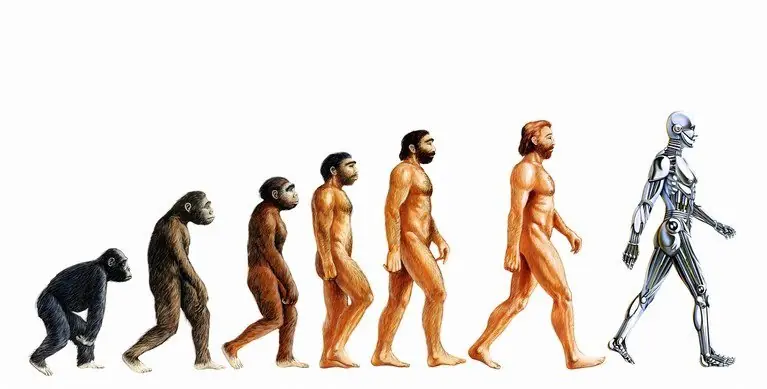 ¿El ser humano sigue evolucionando biologicaménte?
