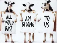 belong