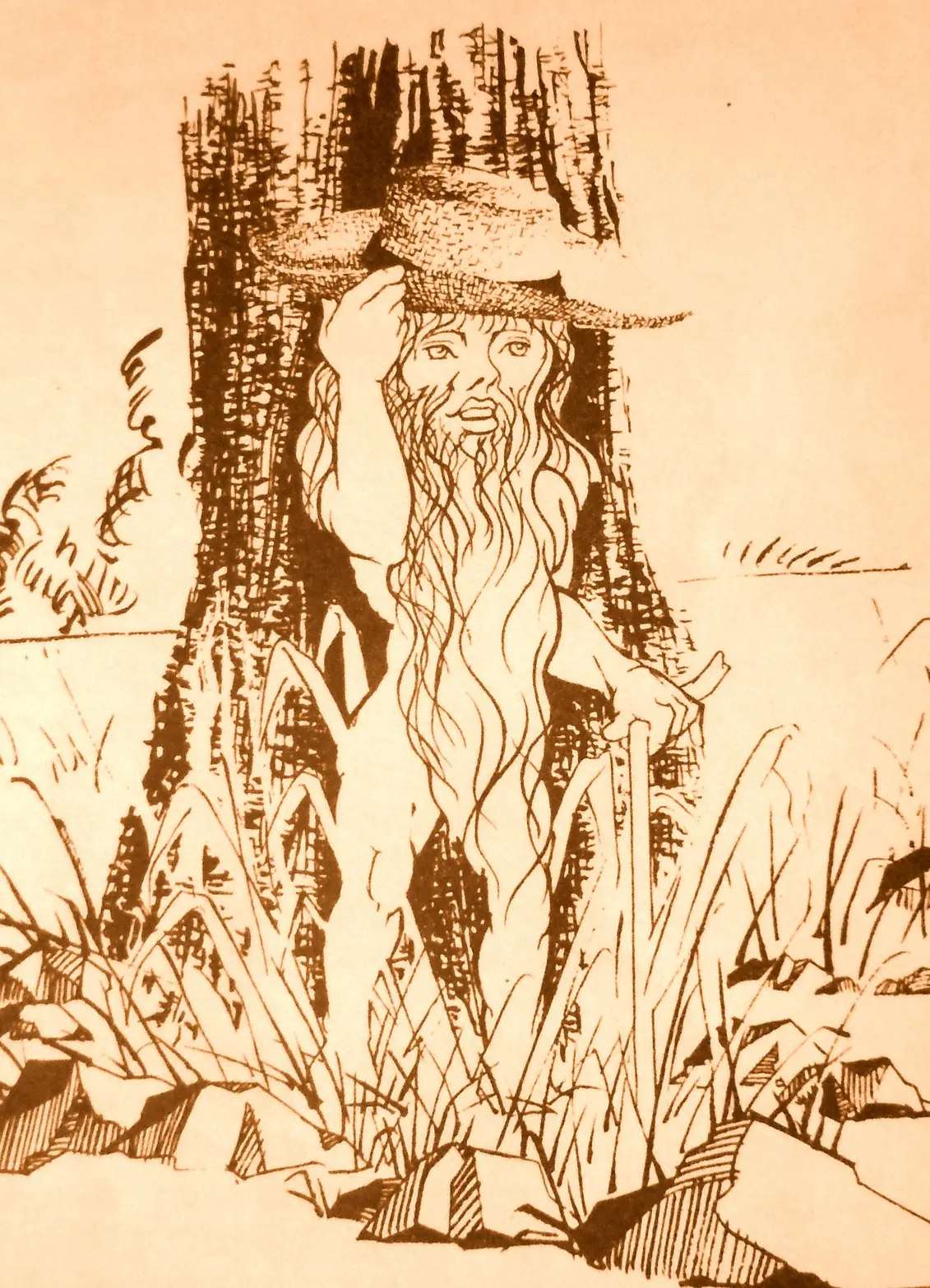 formosa