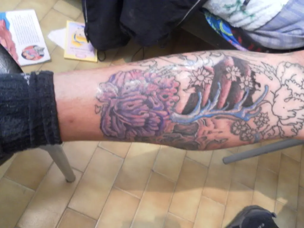arte
