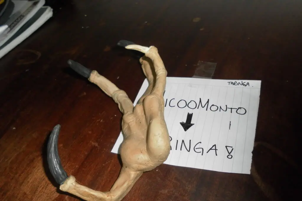taringa