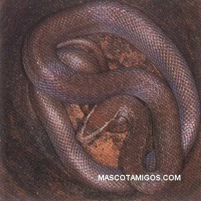 Tipos de serpientes en el planeta