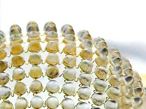 Crean una cámara digital con forma de ojo