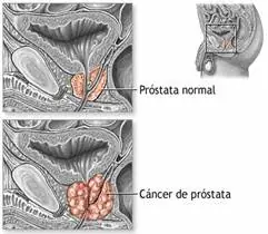 info