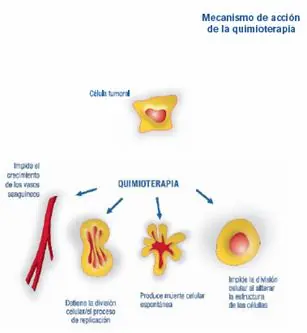 Todo sobre el cancer,Parte 2 ¡¡