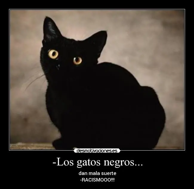 amor