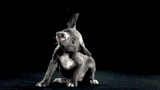 Gifs en Slowmotion