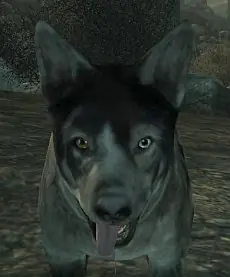 lugares,armas,servoarmaduras y demas para fallout