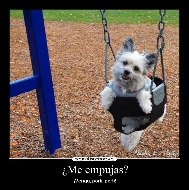 jajaja