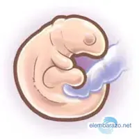Embarazo... [Megapost]