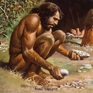 homo sapiens